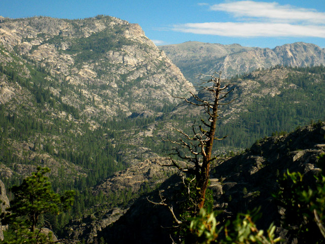 Summit City and N Mokelumne drainages meet